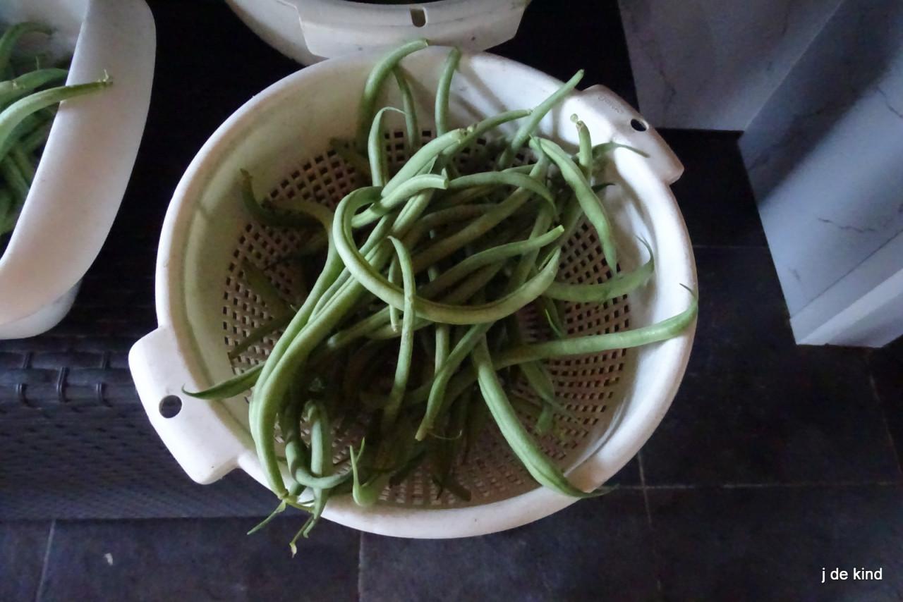 Boontjes