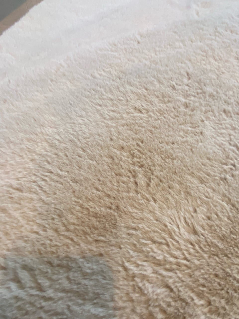 Wollen vloerkleed 200x288 cm – beige – goede staat