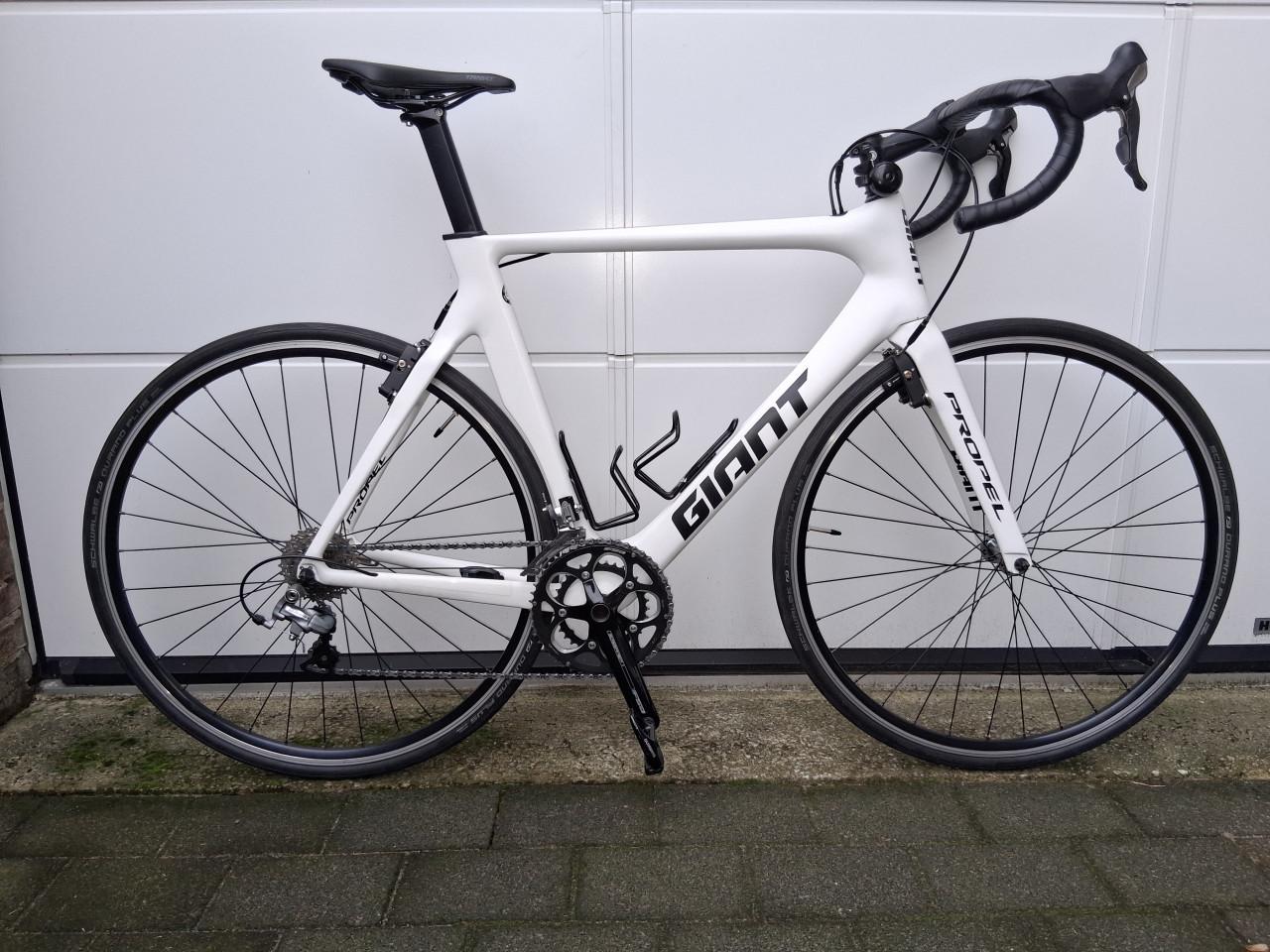 Giant Propel Advanced 2