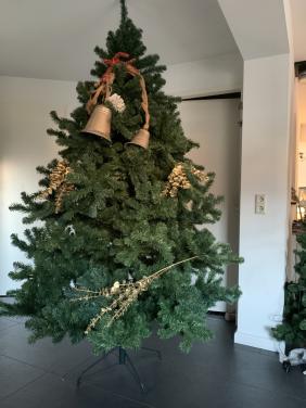 Kerstboom 2.40 m hoog