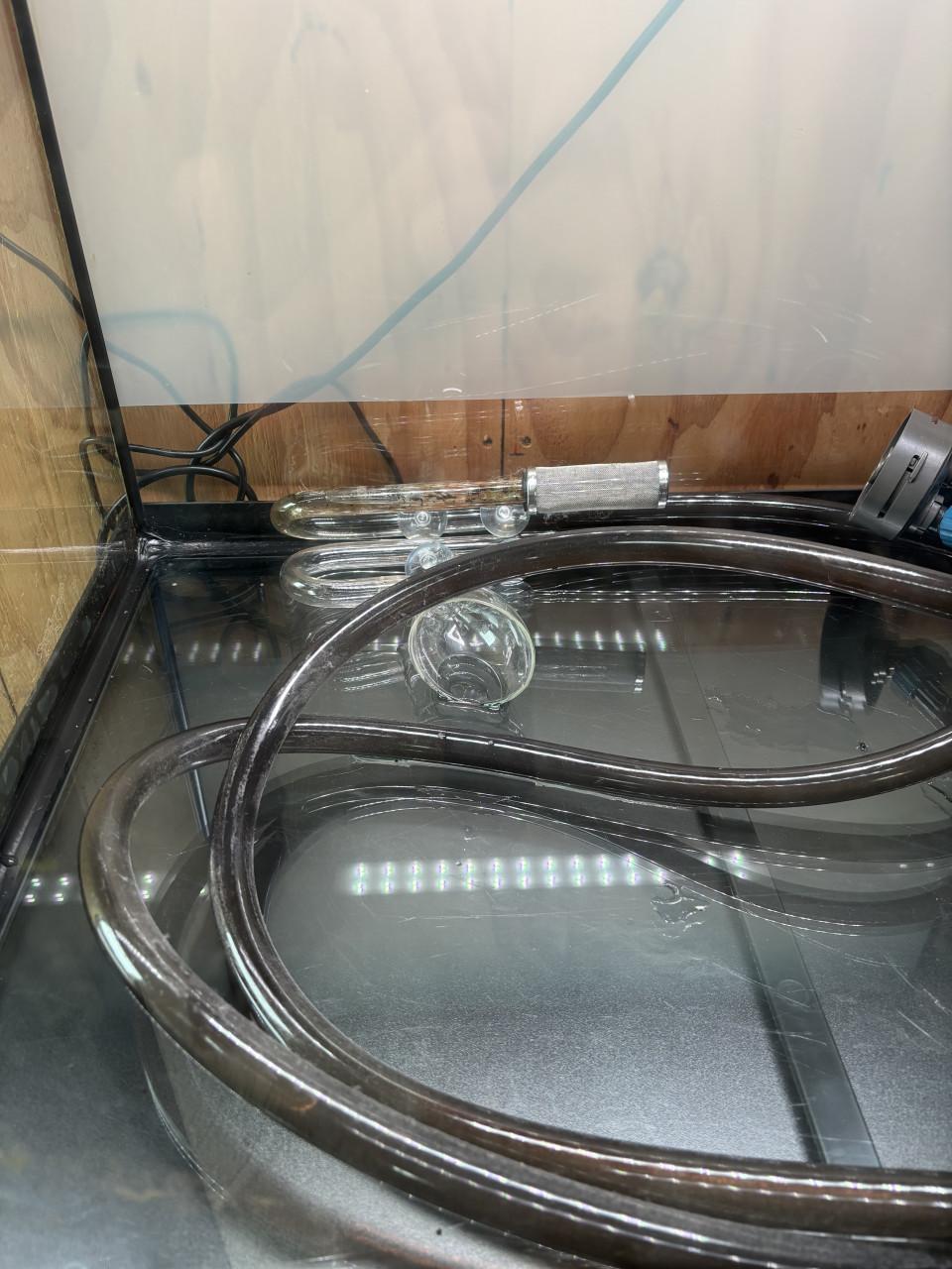 Lido 200 aquarium met top accessoires compleet