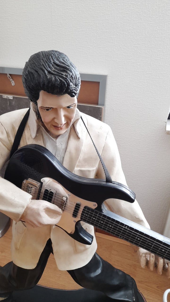 BEELD ELVIS PRESLEY