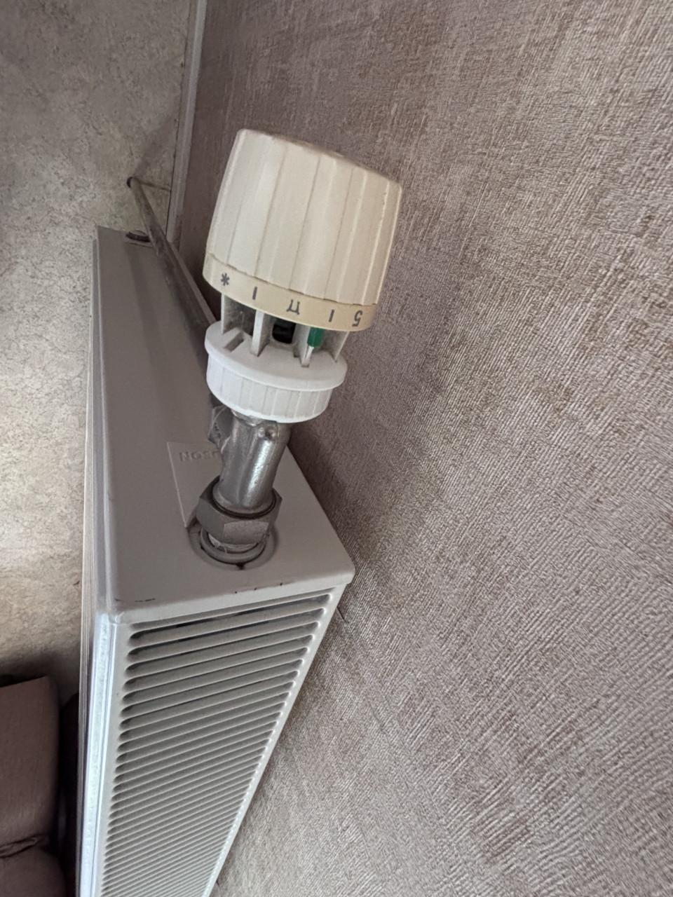 Radson CV-radiatoren (HR) incl. thermostaat