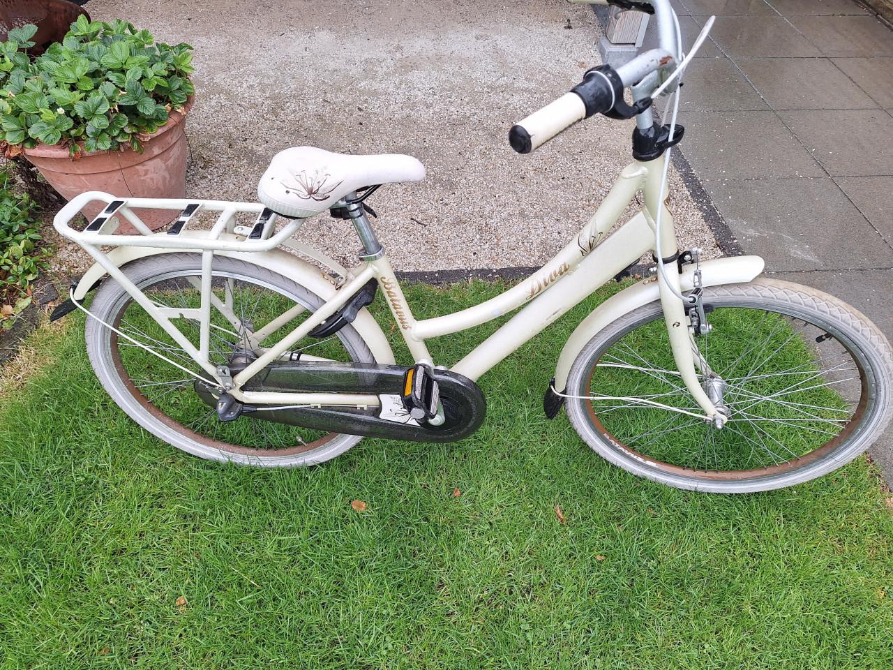 Batavus Diva 24 inch