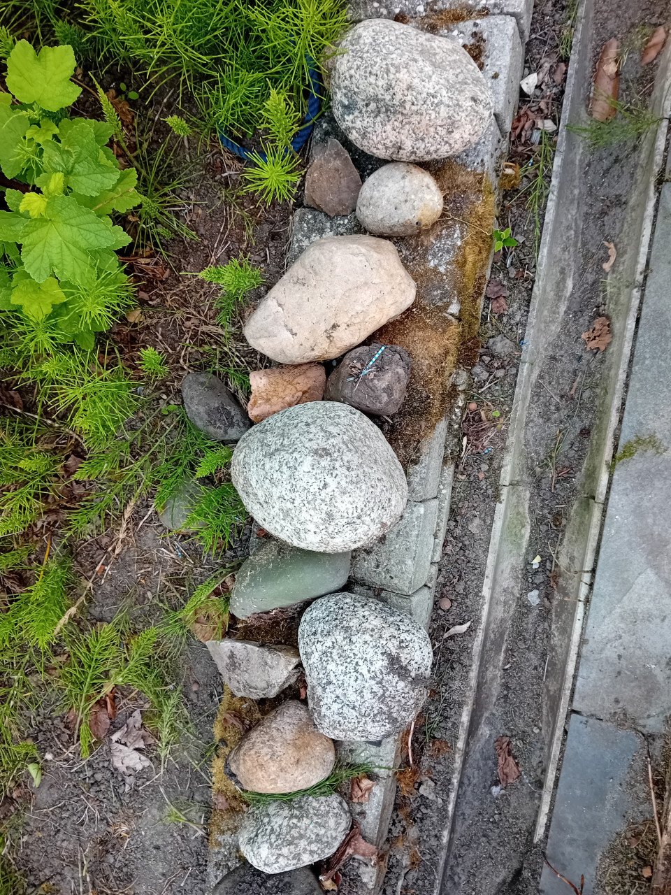 Sierkeien