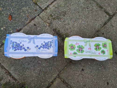 Bloempotten met zaden
