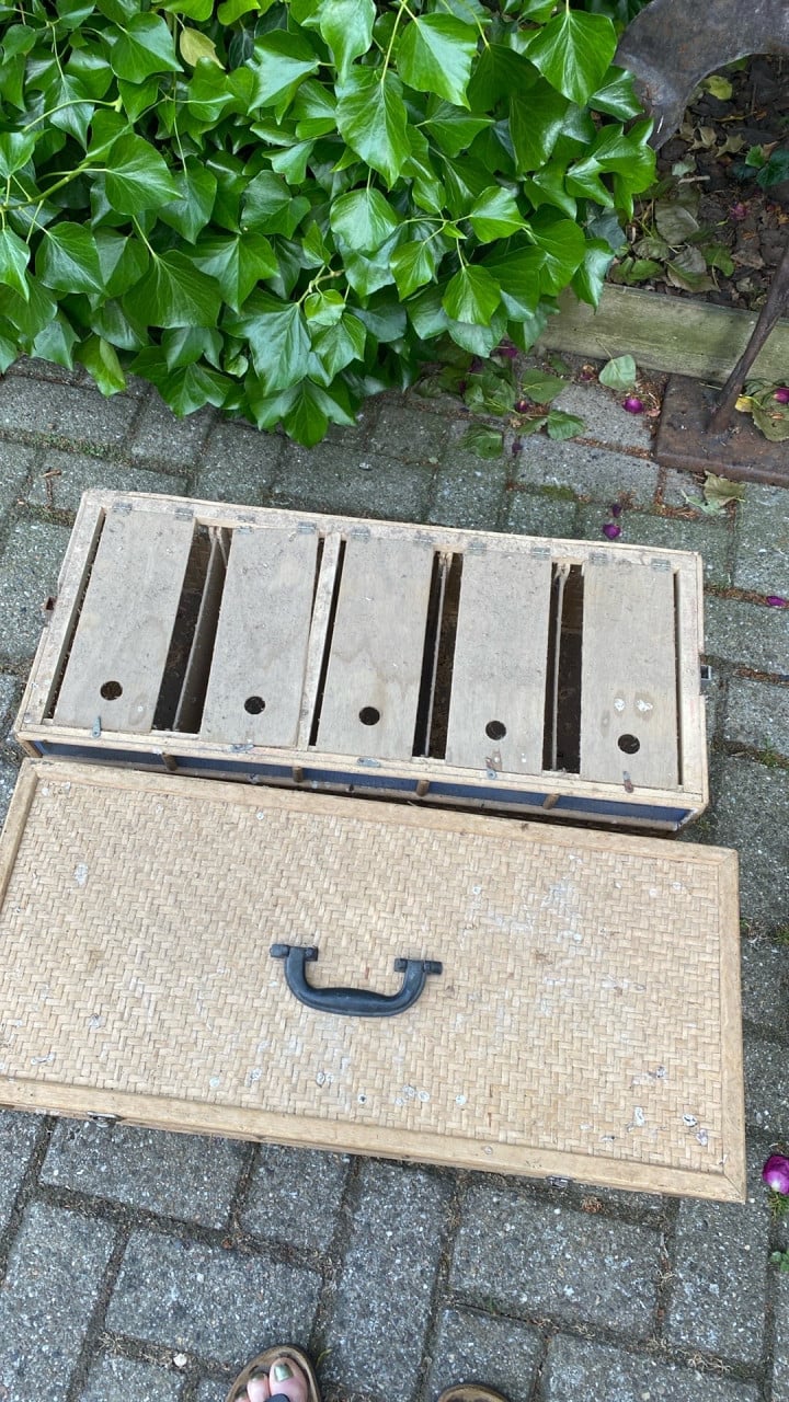 Duivenmand dubbel 2 x 5 vaks