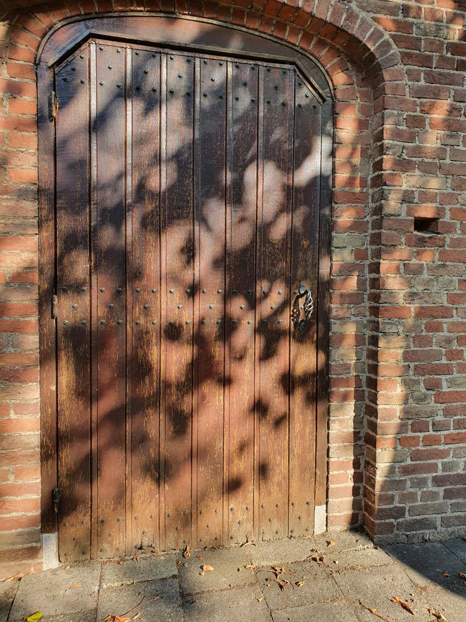 Fotoworkshop (groot) ouder en kind