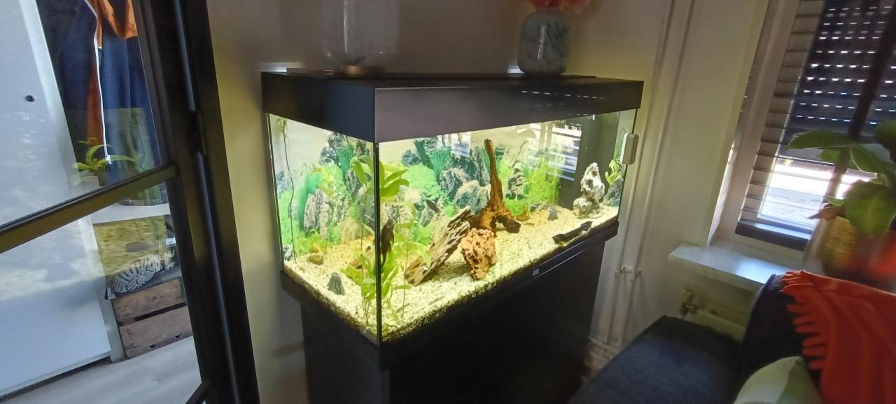 Juwel Rio 180 aquarium