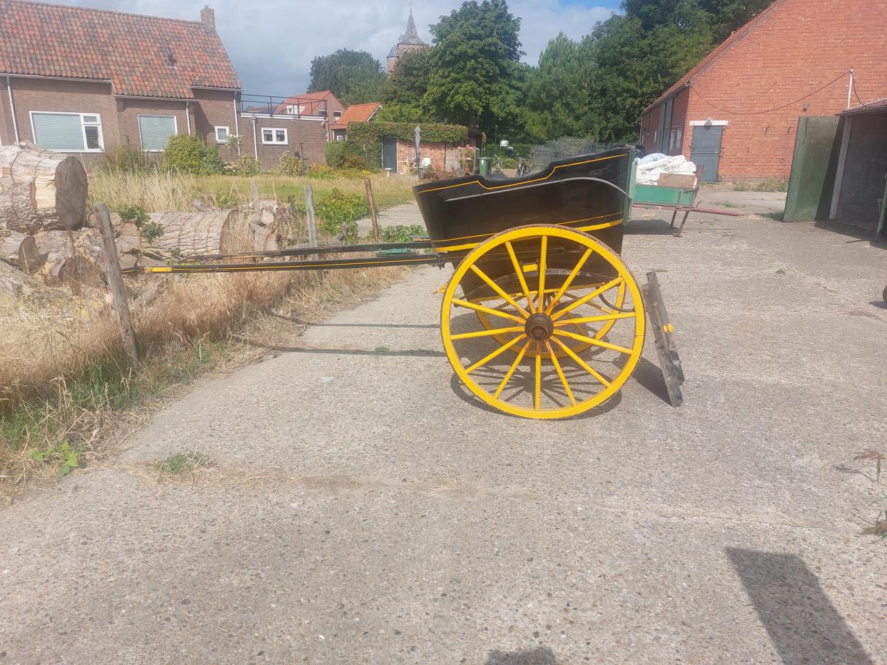Sjees