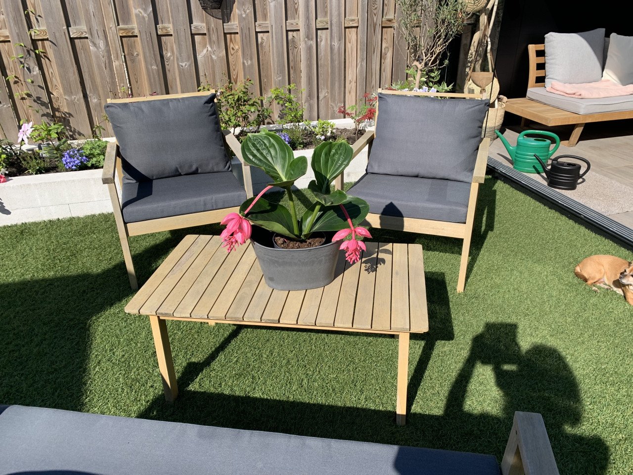 Houten tuinset, met kussens.