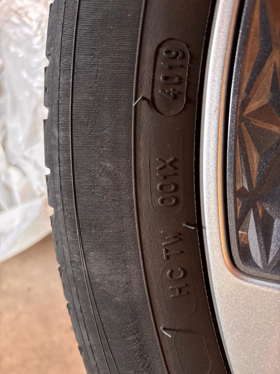 Renault Scenic 195/55R20 95H banden en velgen