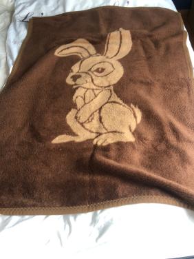 Dekentje voor kinder ledikant