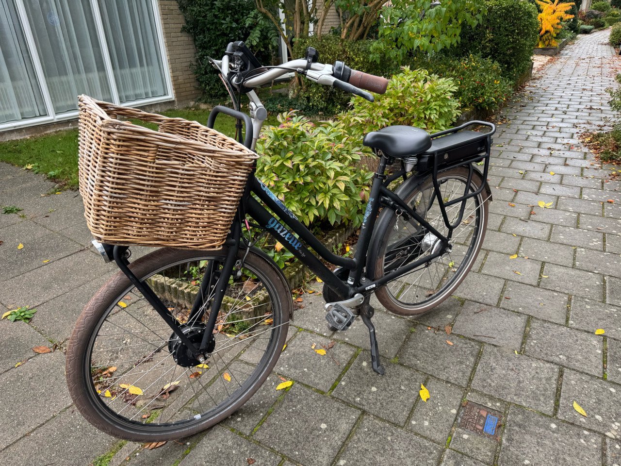 Gazelle Miss Grace Elektrische Fiets