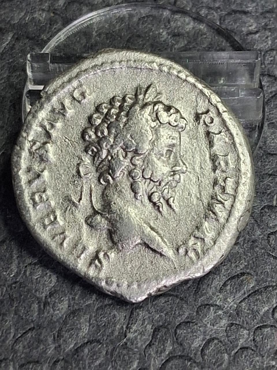 Romeinse munten gezocht