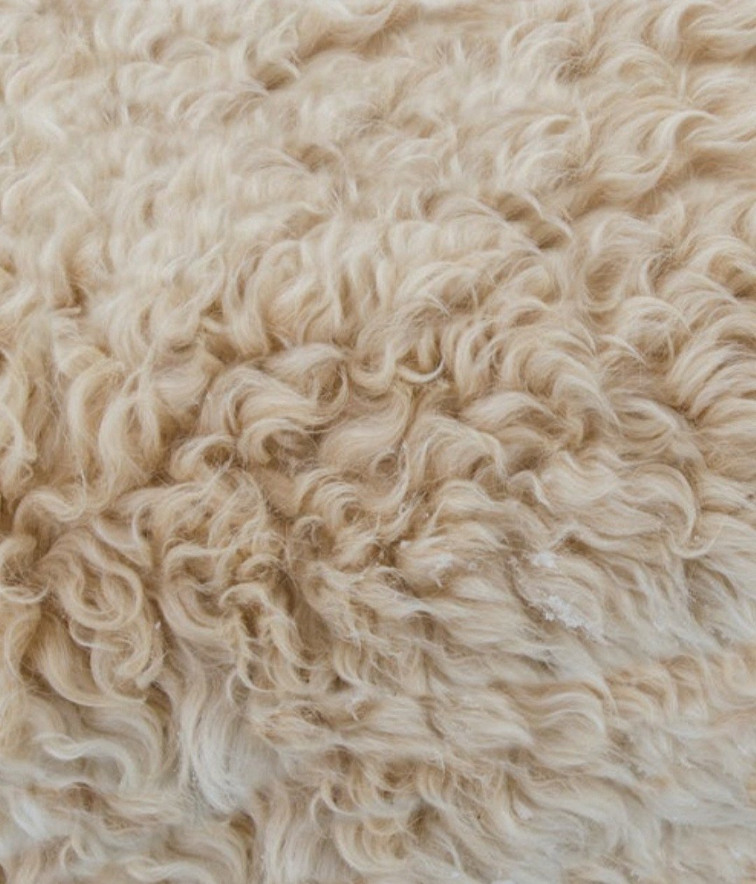 Wol schapen schaap vachten vacht