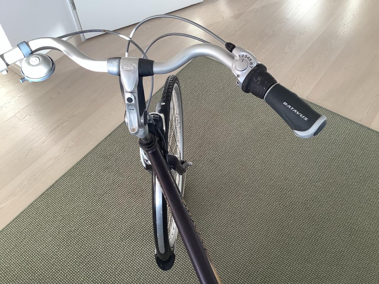 Keurige Batavus Legato