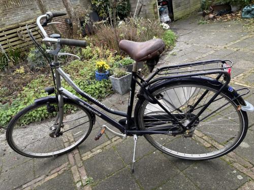 Damesfiets BATAVUS holiday