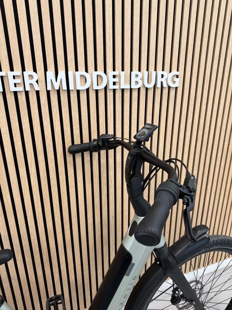 Gazelle Avignon C380 Bosch Performance Line 53CM 500Wh Belt