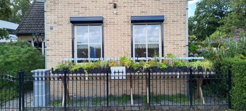 Bijen,- en vlinderplanten in ons plantenkraampje voor slechts €1,25 p /st.