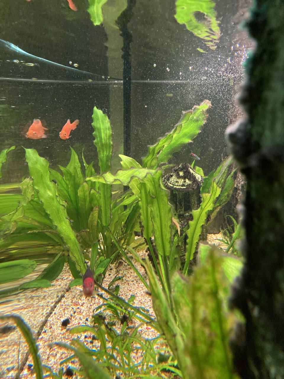 Aquarium