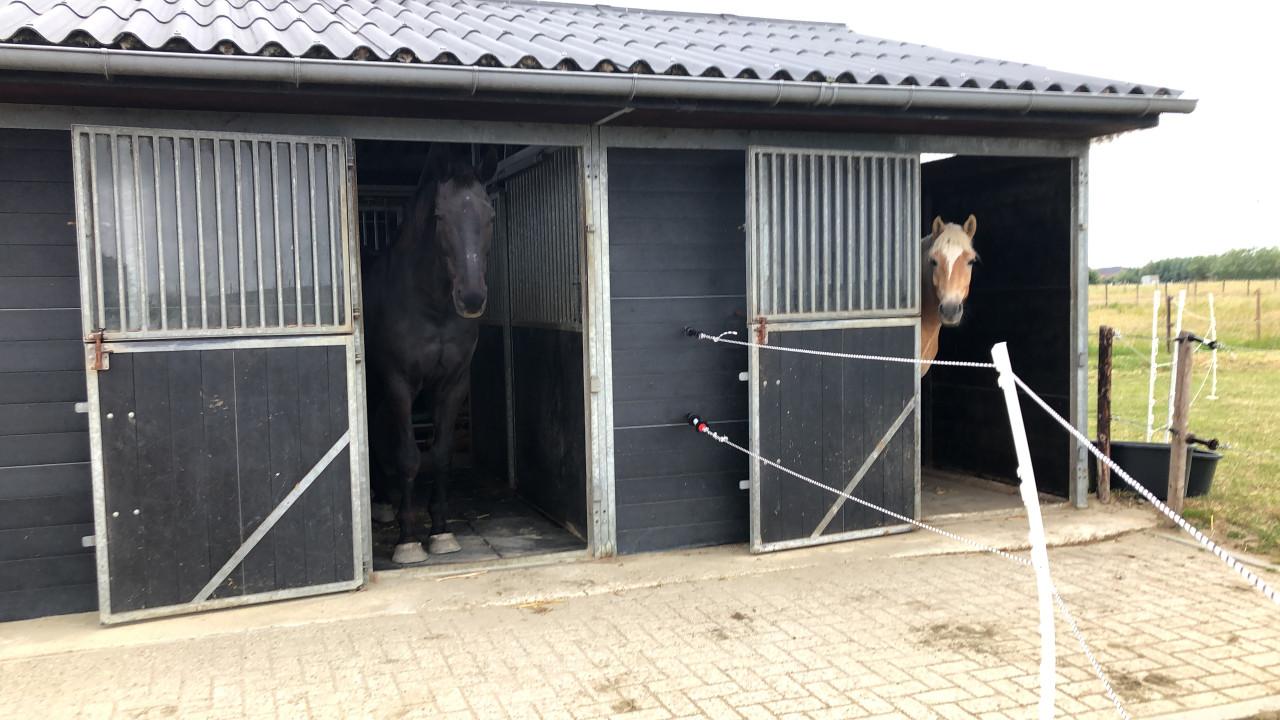 Stalling box met uitloop zandpaddock te huur voor paard of (shetland) pony