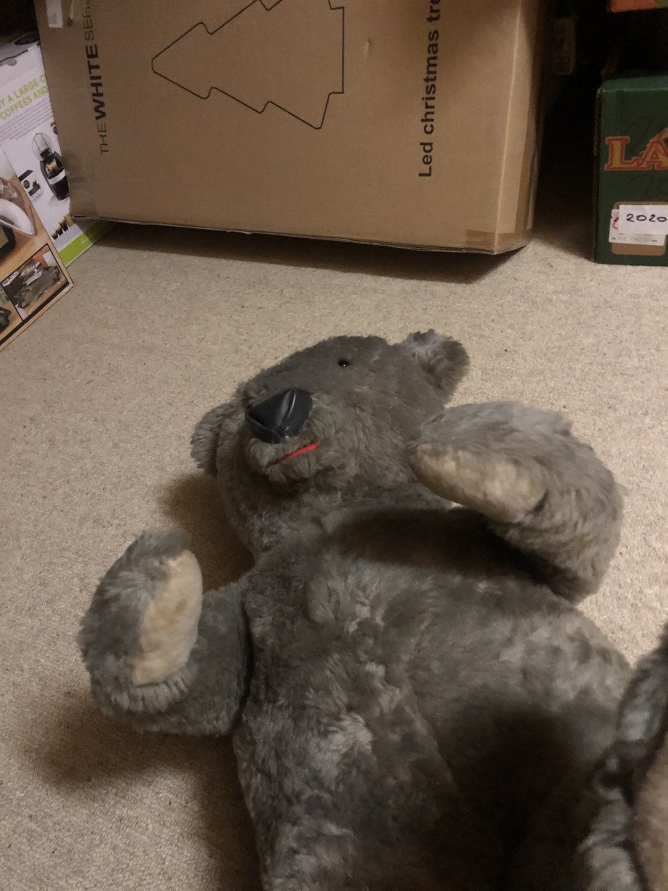 Knuffelbeer