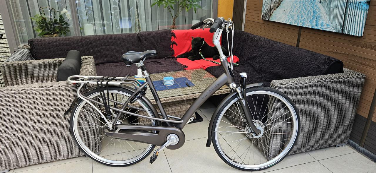 Batavus Mambo Damesfiets