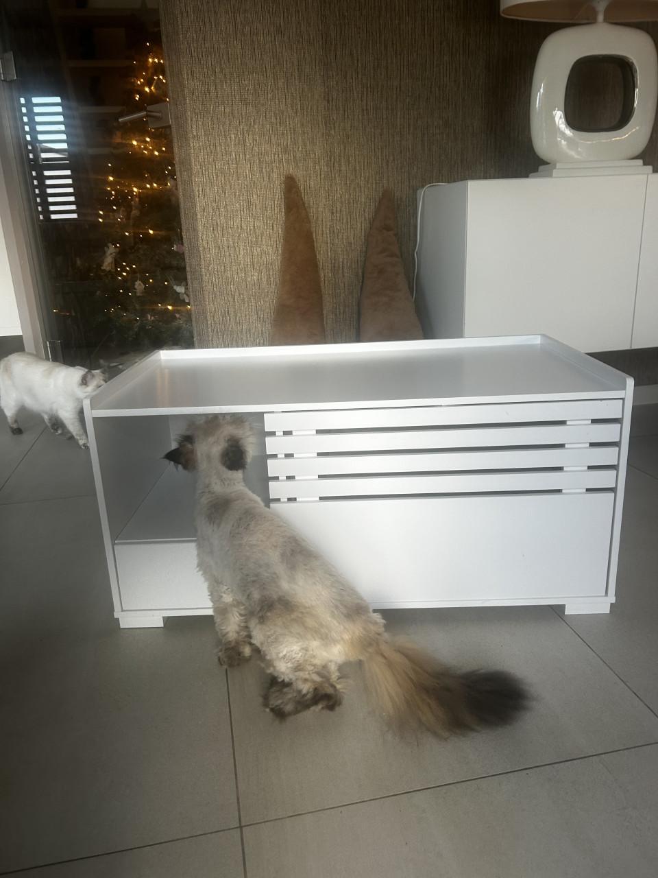 Kattenbak kast met kattenbak