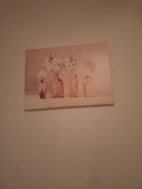 Roze canvas schilderij