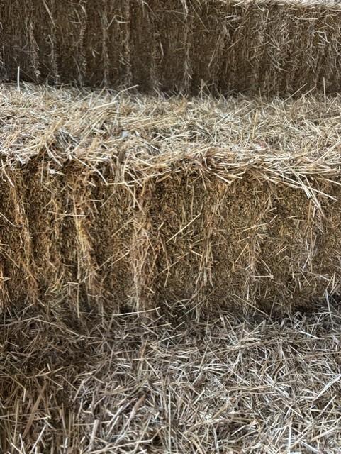 Graszaadhooi te koop!
