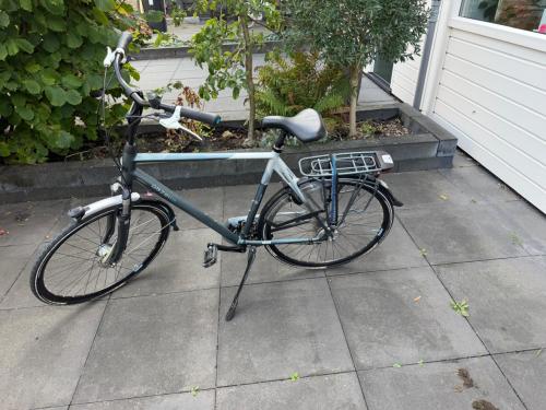 Gazelle Eclipse