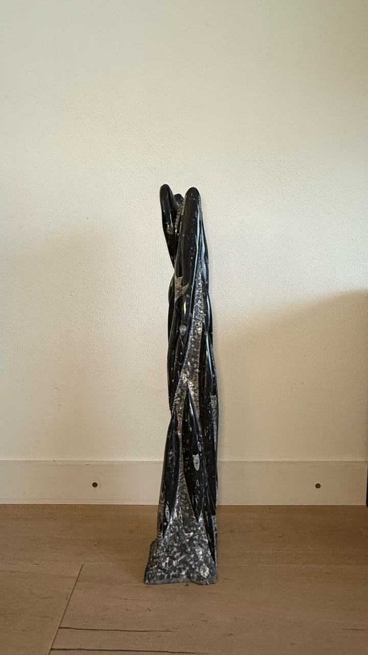 Orthoceras - fossiel van pijlstaartinvissen