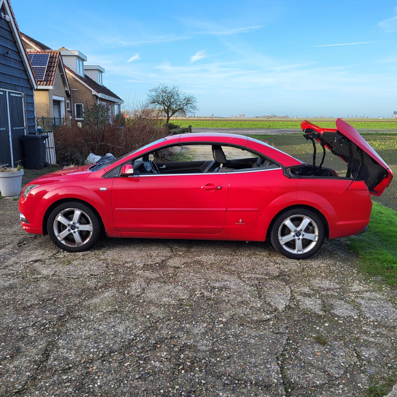 Rode Ford Focus CABRIO (hard top)