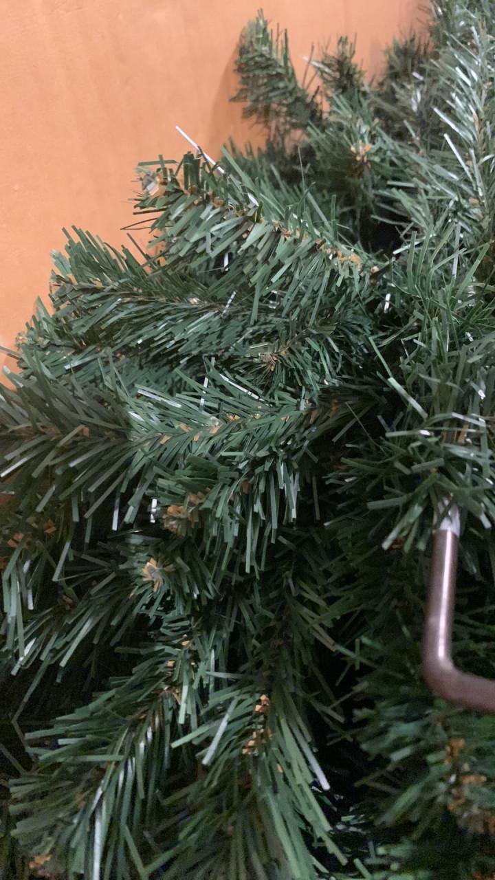 Kerstboom 1.85 m Triumph Tree. Intratuin