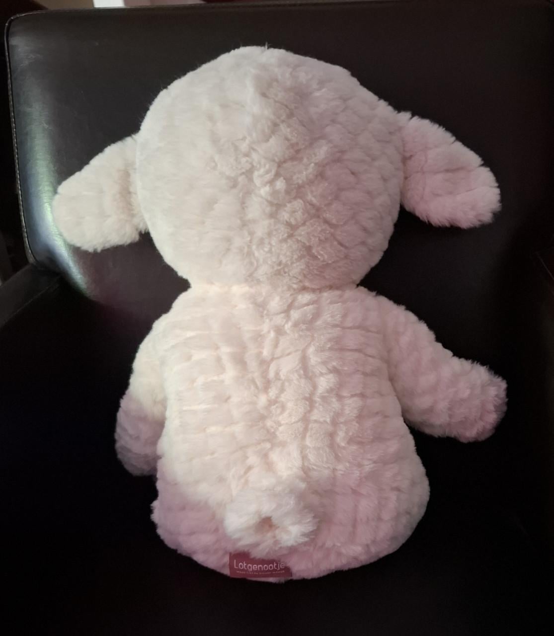 Lotgenootje Schaap 2 kg