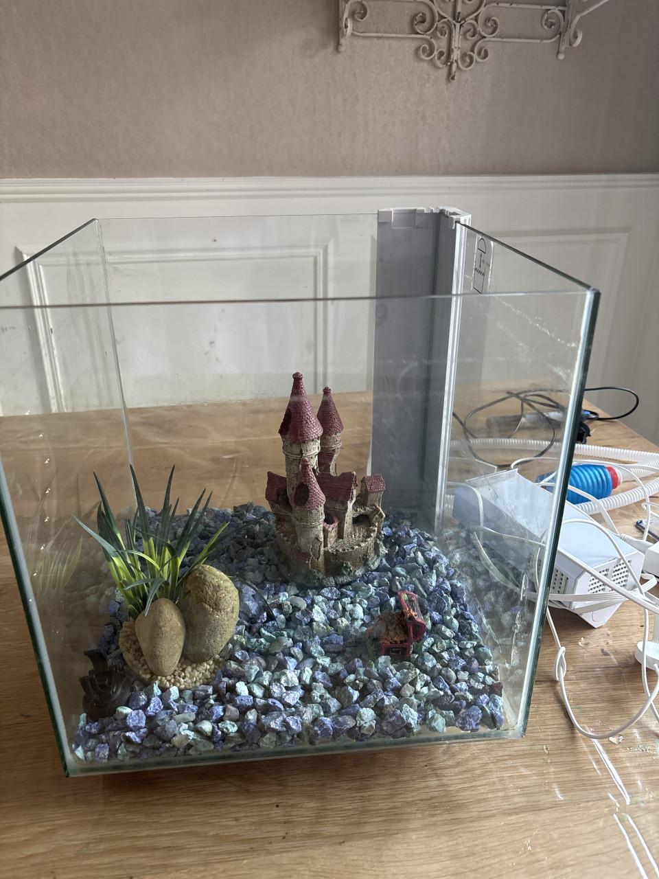 Aquarium