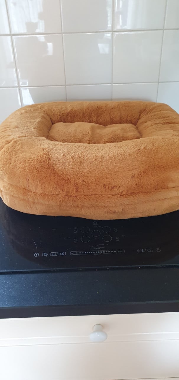 Omlet donut kattenmand