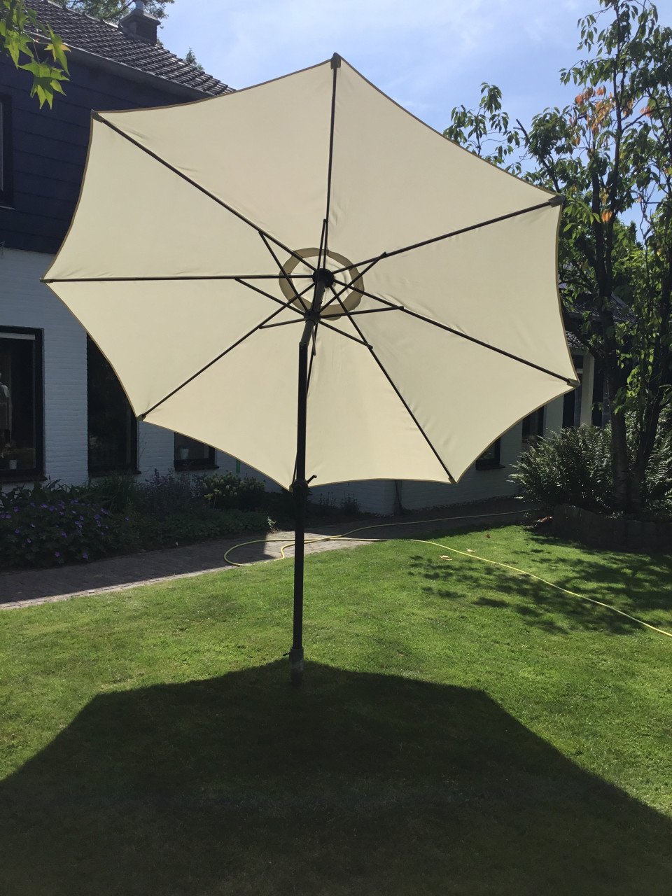 Grote Parasol