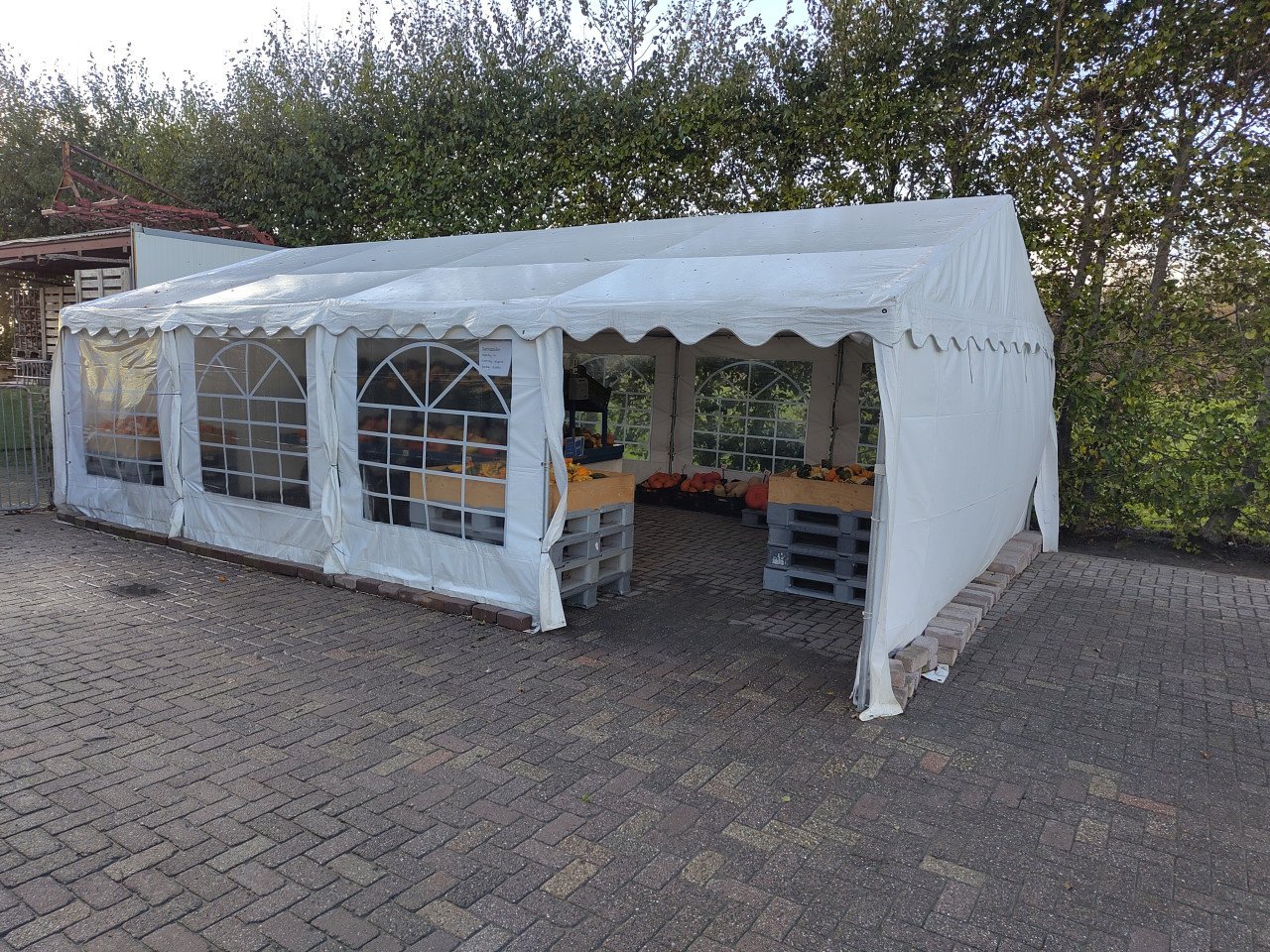 Pompoenen en kalebassen