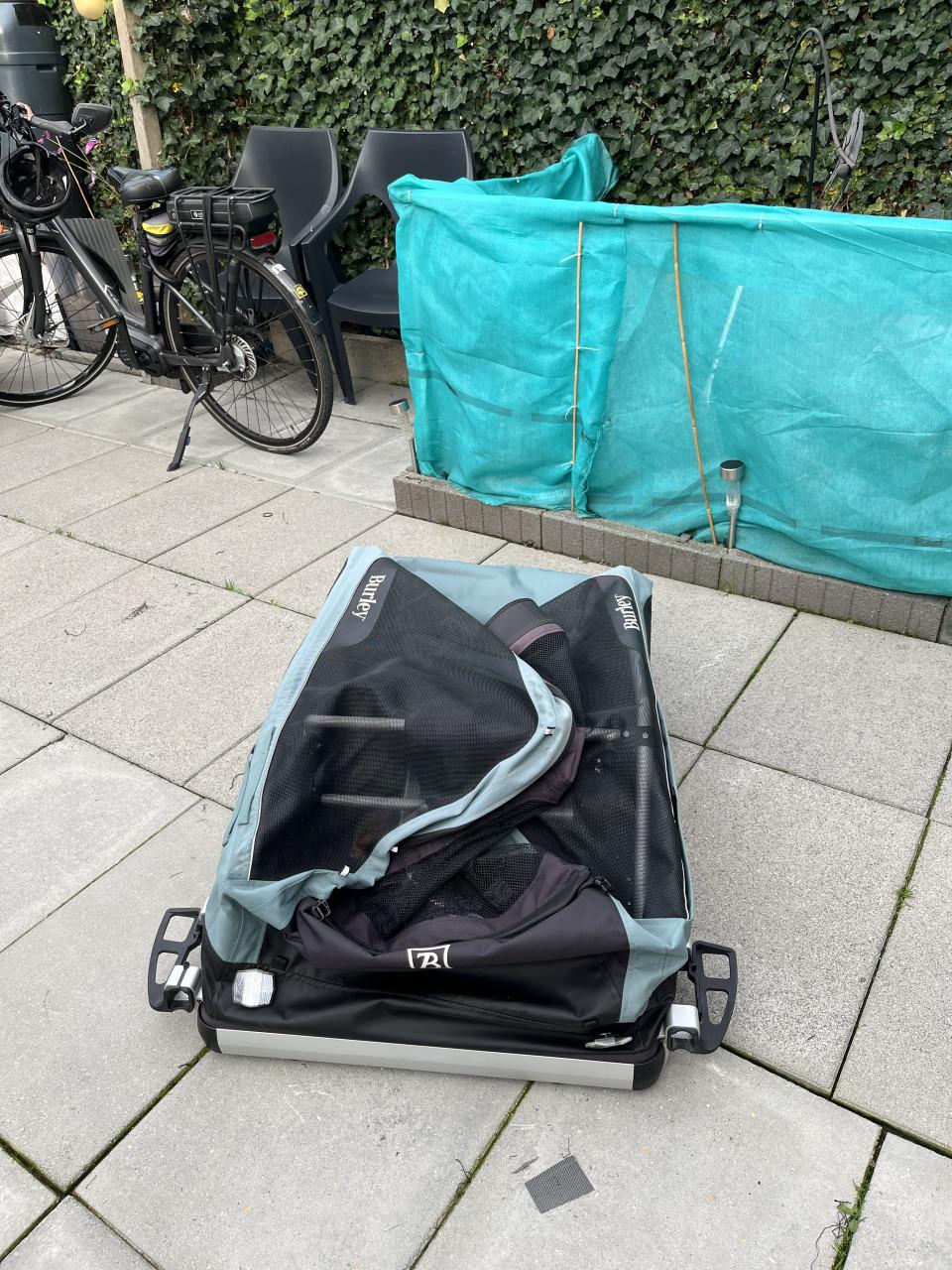 Bruly ranger xl
