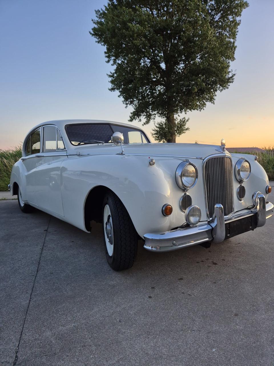 Jaguar mkv 11