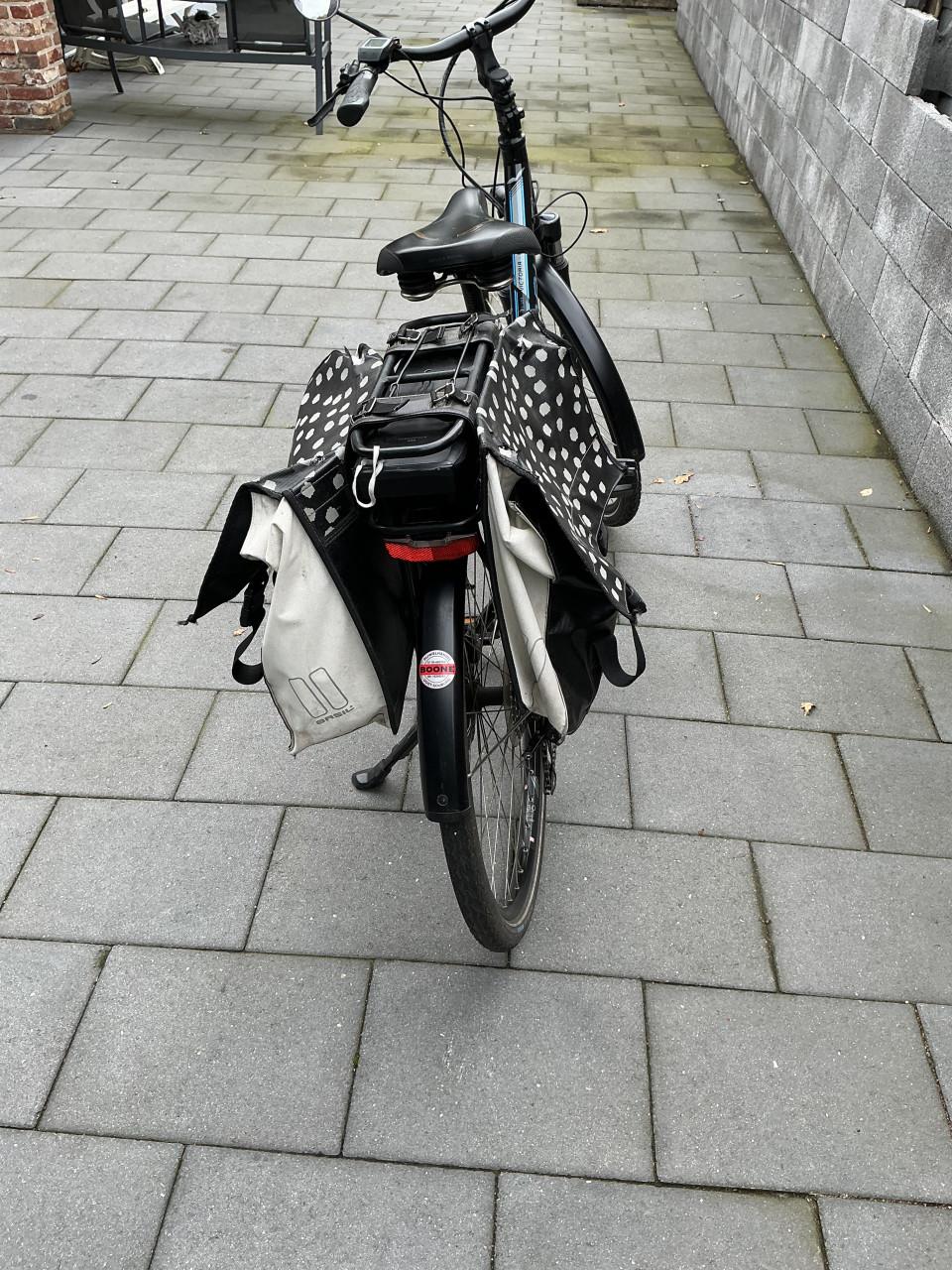 Victoria dames e bike met bosch middenmotor frame 53 cm