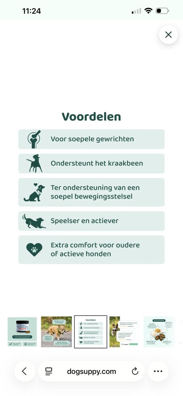 Dogsuppy voedingssupplement voor heup en gewrichten grote hond