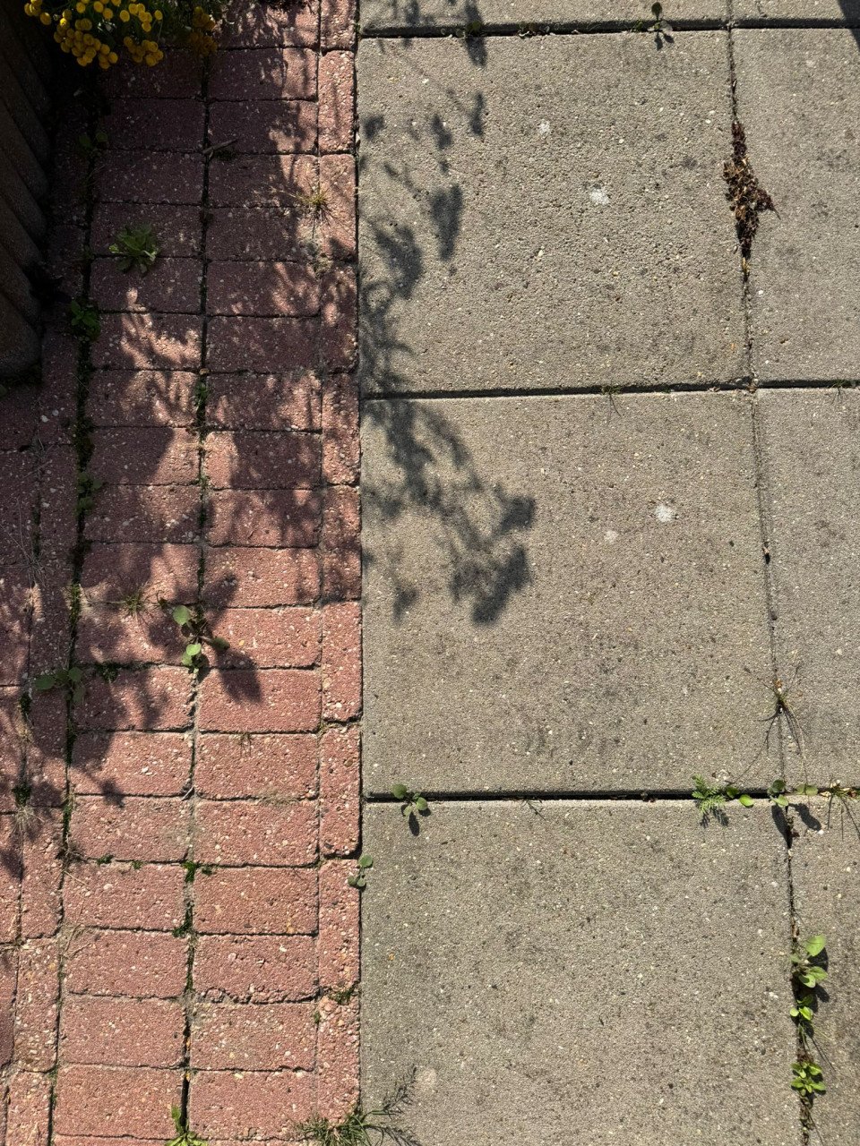 Gratis afhalen terrastegels