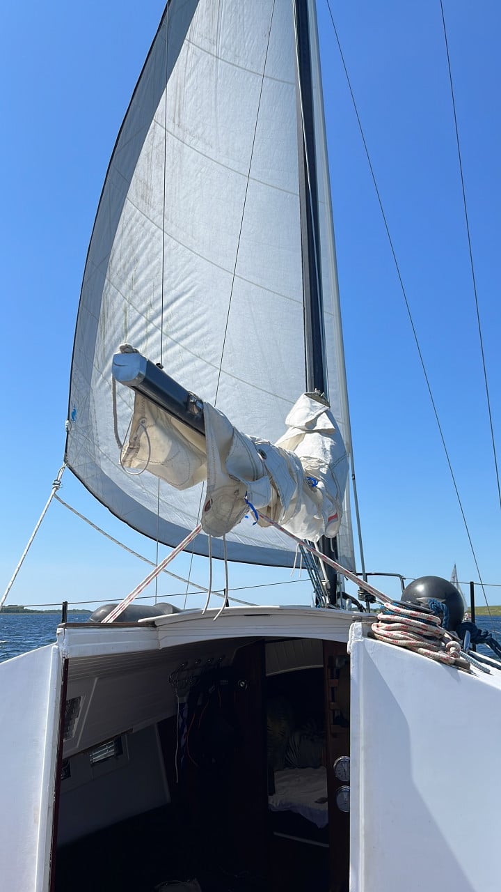 Wibo835