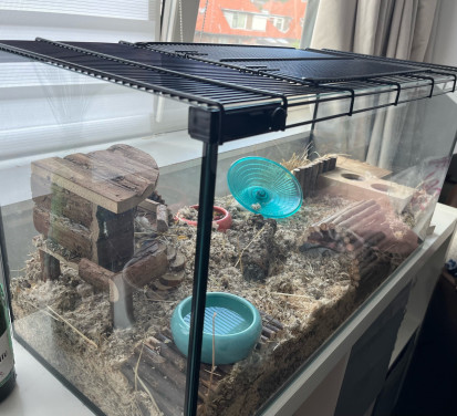 Terrarium glas