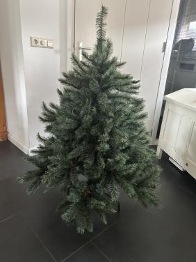 Kerstboom Romagne Intratuin