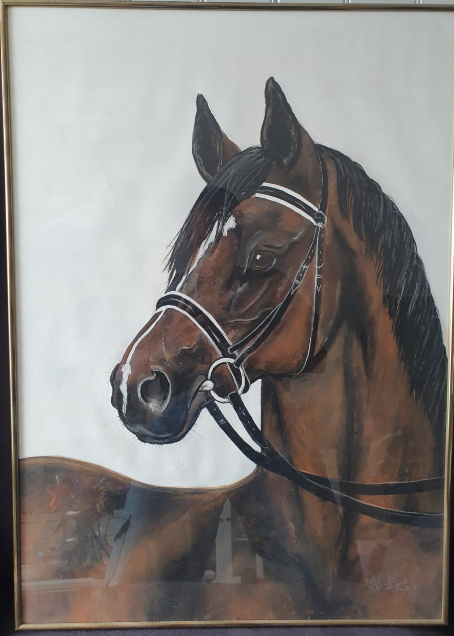 Tekeningen paarden