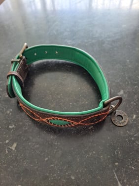 Grote halsband hond Dog wth a mission